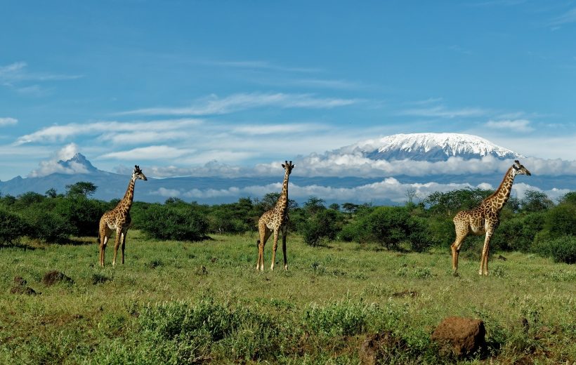 3-Day Masai Mara, Lake Naivasha Safari