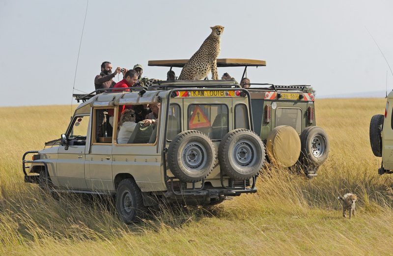 4 DAYS FABULOUS TANZANIA ADVENTURE SAFARI