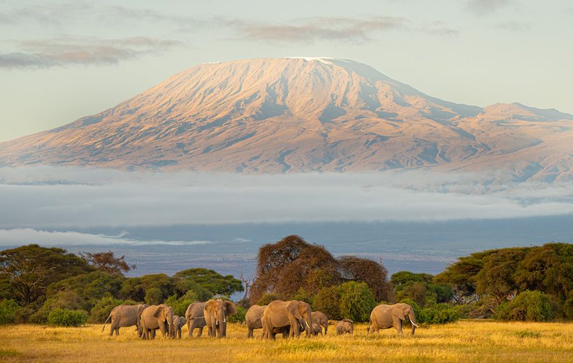 10 – DAY BEST OF KENYAN SAFARI.