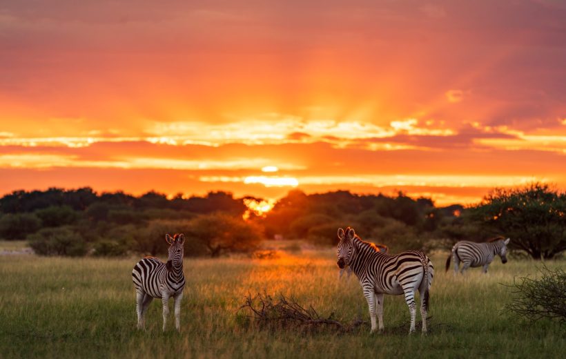 10 – DAY Great Kenya, Samburu, Masai Mara to Tsavo West Safari.