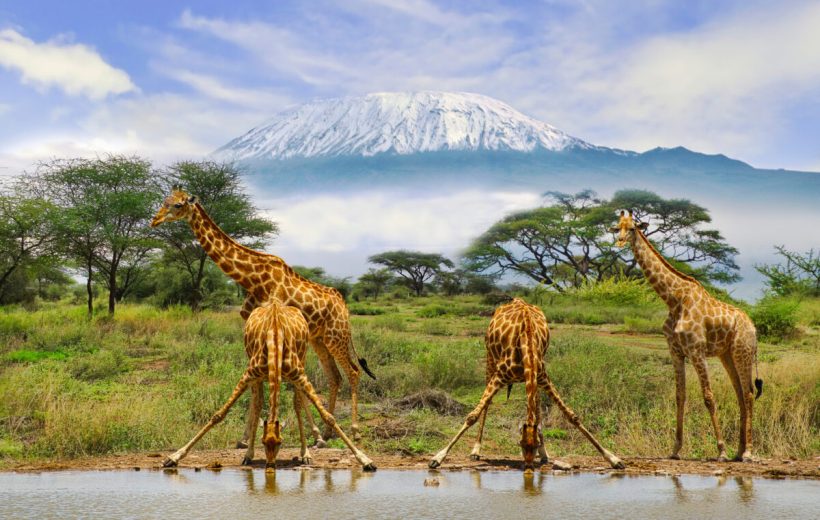 4 Days Mombasa Safari – Tsavo West, Amboseli, Tsavo East, Mombasa Beaches