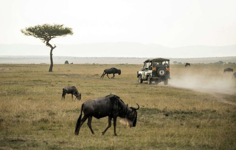 9-DAY HIDDEN GEM OF THE KENYA WILDERNESS SAFARI
